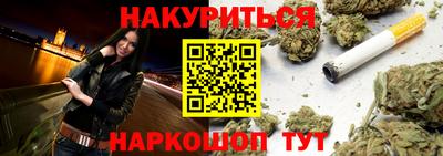 прущие грибы Будённовск