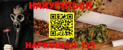 прущие грибы Будённовск