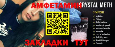 прущие грибы Будённовск