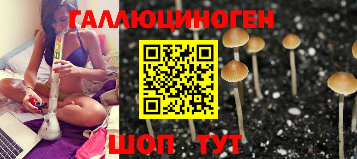 Галлюциногенные грибы ЛСД  Галлюциногенные грибы Psilocybe  Северодвинск  Вход с VPN 