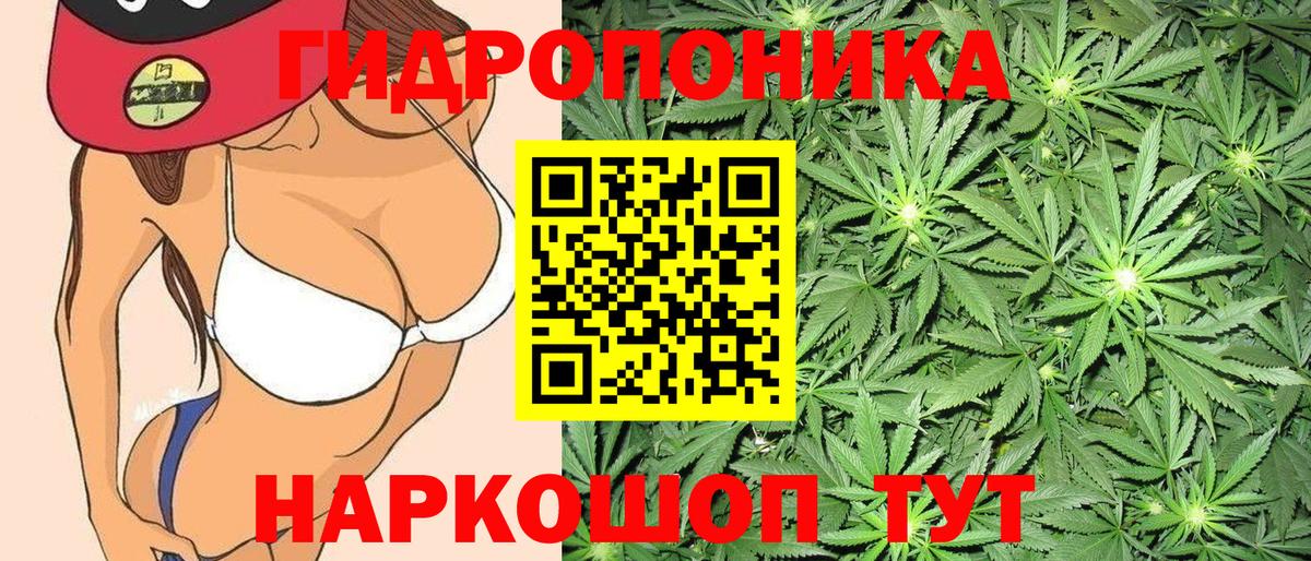 Каннабис White Widow  Шишки марихуана Bruce Banner  Северодвинск  Каннабис ГИДРОПОН  Вход с VPN 